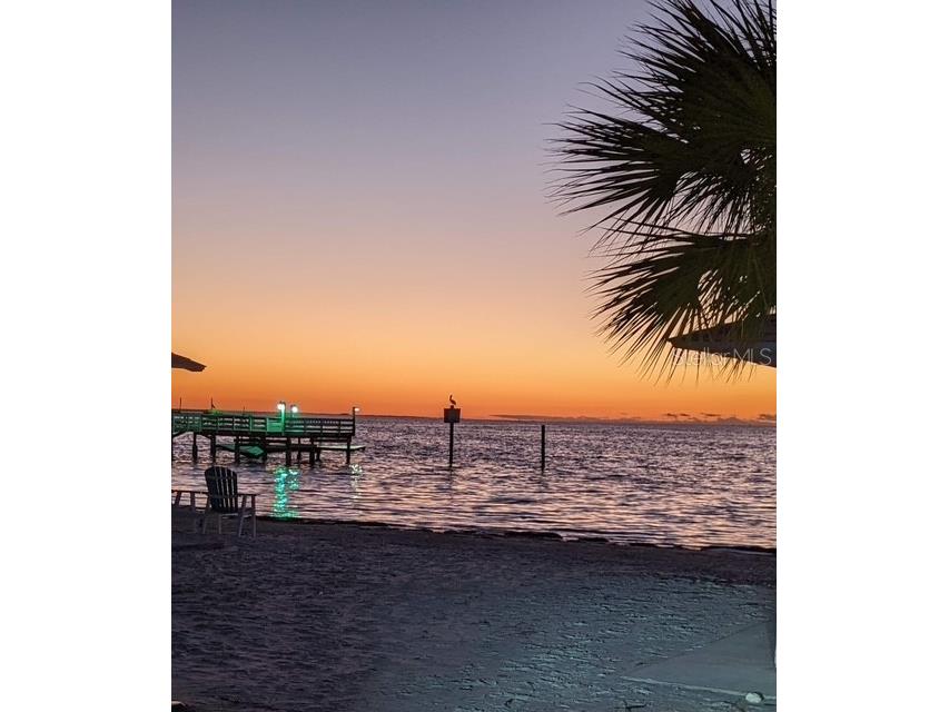 5529 White Marlin Court New Port Richey FL 34652 TB8434965 image61