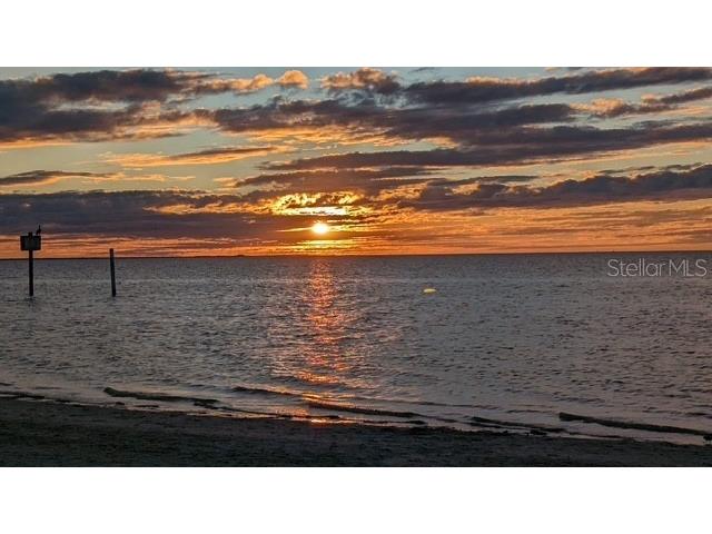 5529 White Marlin Court New Port Richey FL 34652 TB8434965 image62