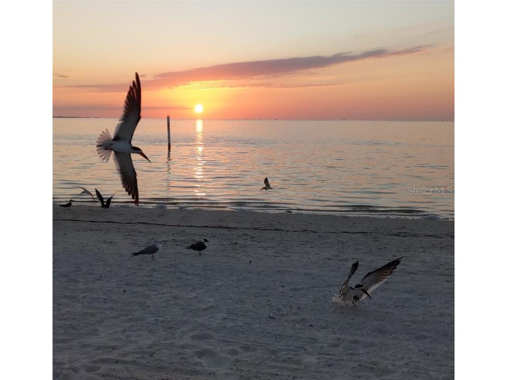 5529 White Marlin Court New Port Richey FL 34652 TB8434965 image63