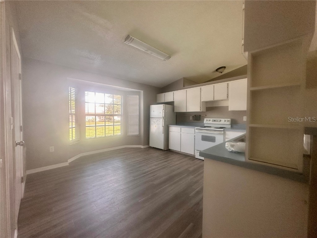 553 Garfield Avenue NE Lake Placid FL 33852 L4956214 image4