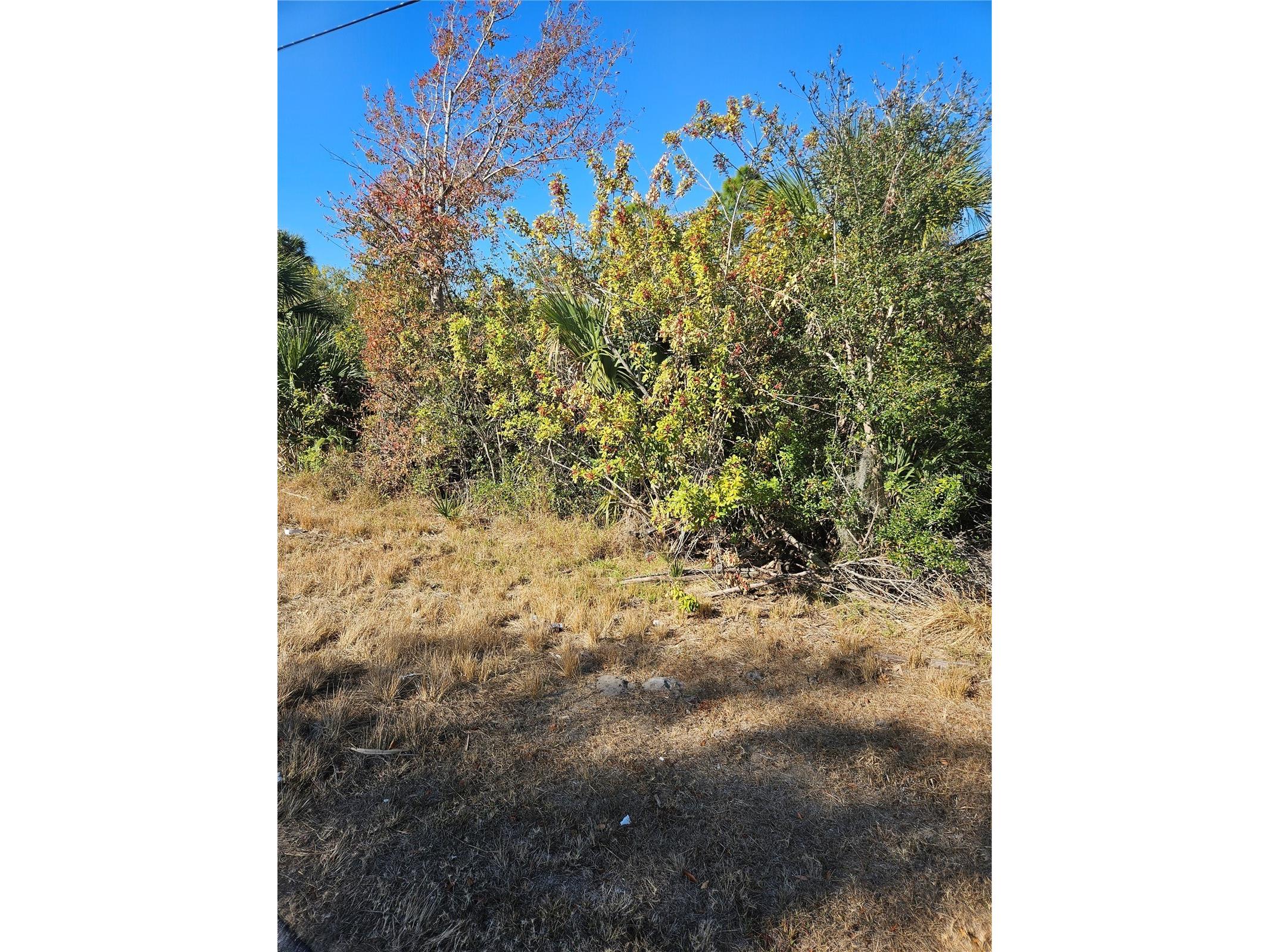 553 Hoffer Street Port Charlotte FL 33953 N6142942 image10