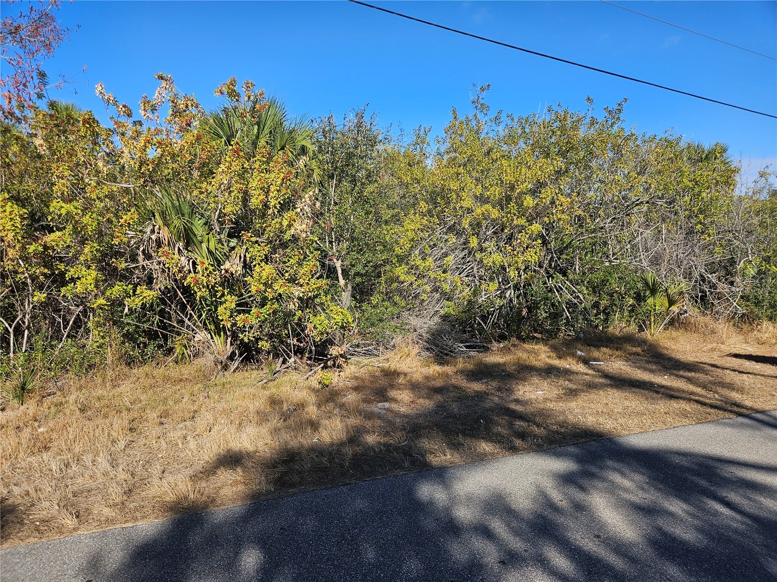 553 Hoffer Street Port Charlotte FL 33953 N6142942 image6