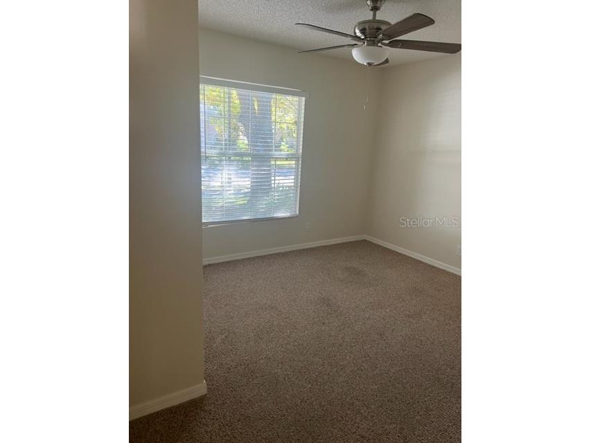 553 Maidenhair Court Orange City FL 32763 O6358251 image14