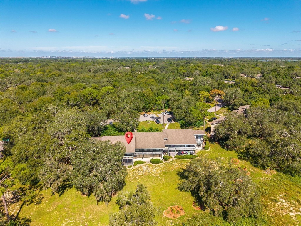 553 Maple Leaf Court #553 Haines City FL 33844 O6347042 image39