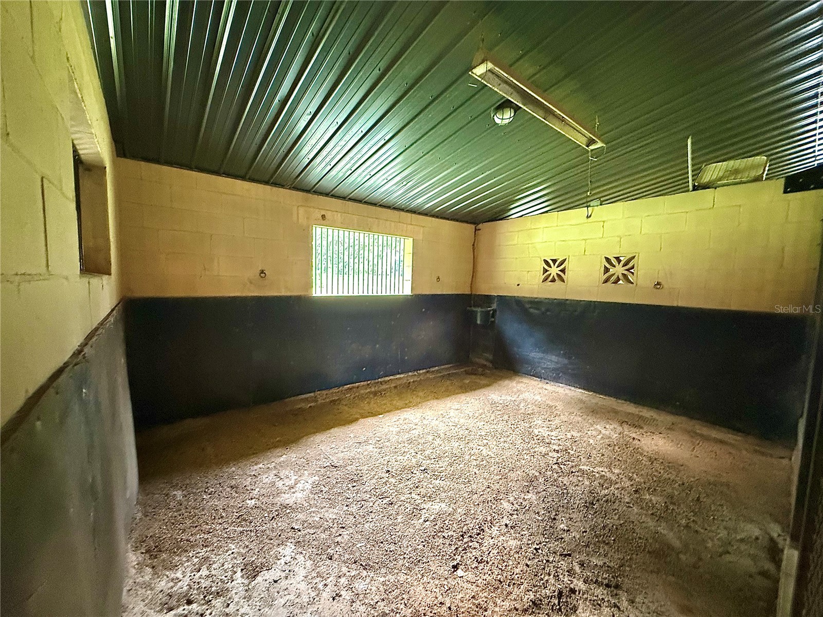 553 NE 205th Avenue Williston FL 32696 OM708565 image41