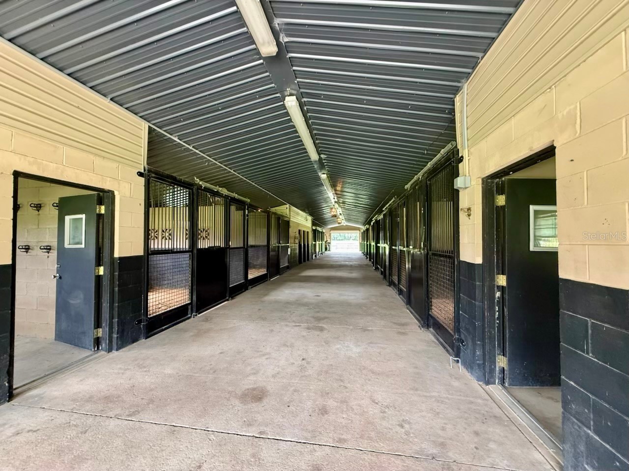 553 NE 205th Avenue Williston FL 32696 OM708565 image42