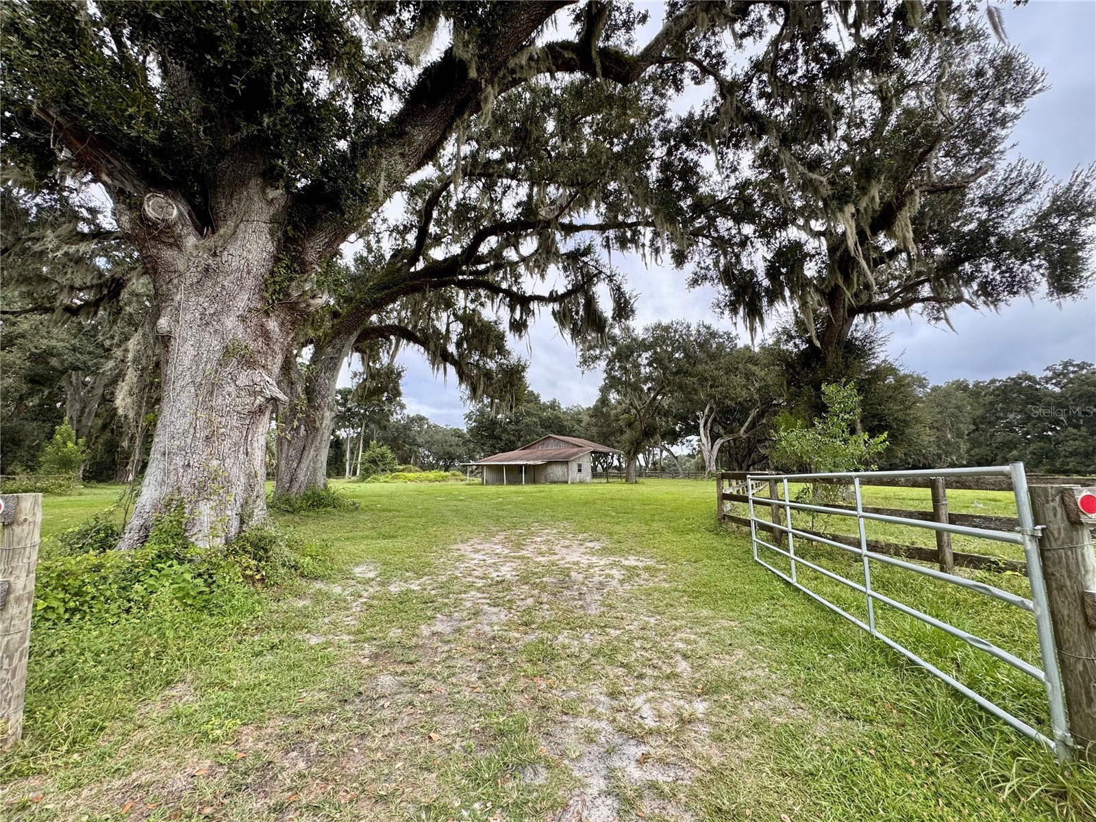 553 NE 205th Avenue Williston FL 32696 OM708565 image49