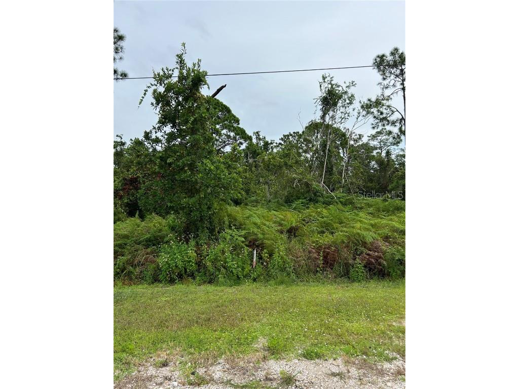 553 Washington Boulevard Lake Placid FL 33852 S5091915 image1