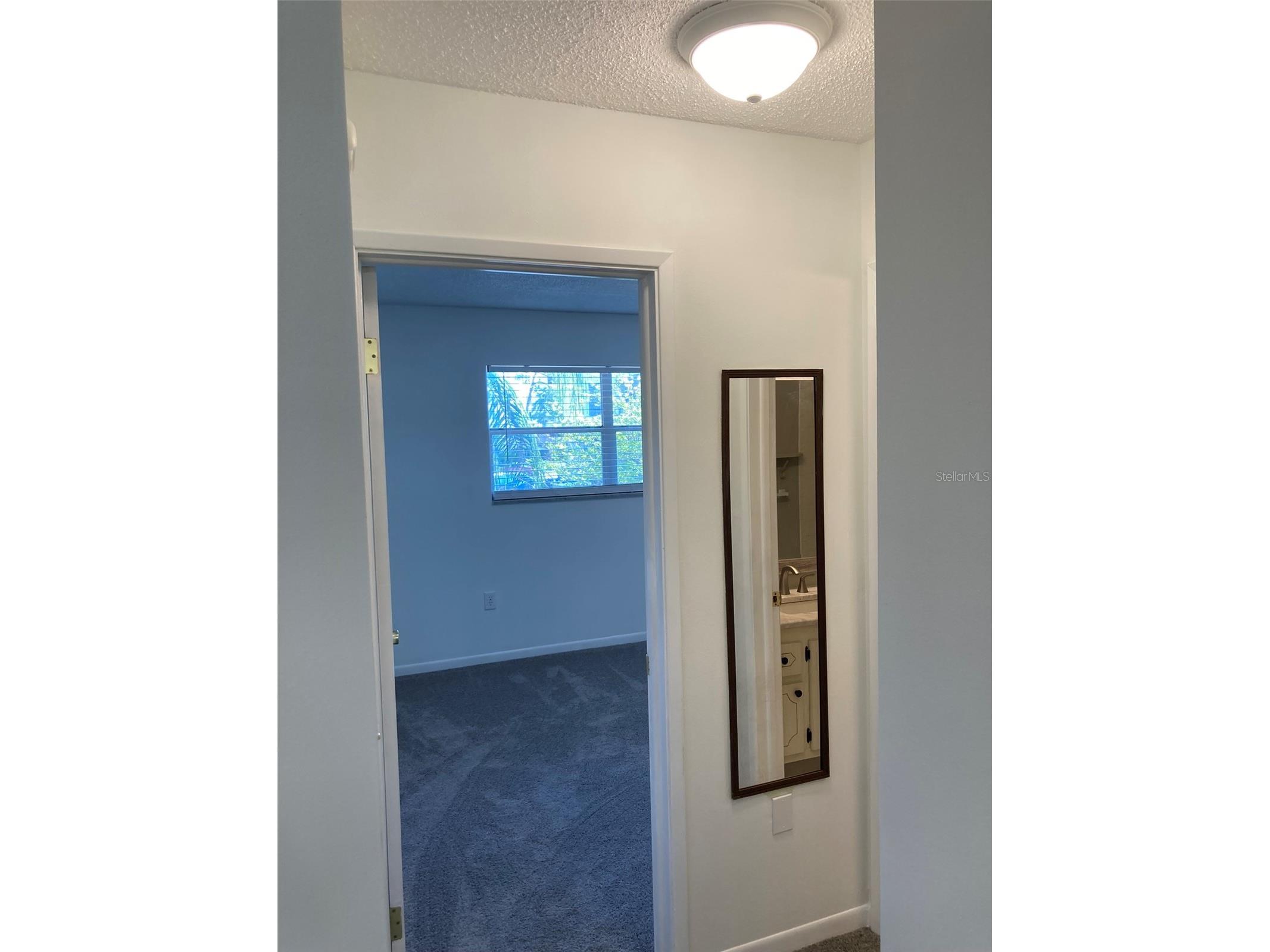 5530 80th Street N #C204 Saint Petersburg FL 33709 TB8492640 image22