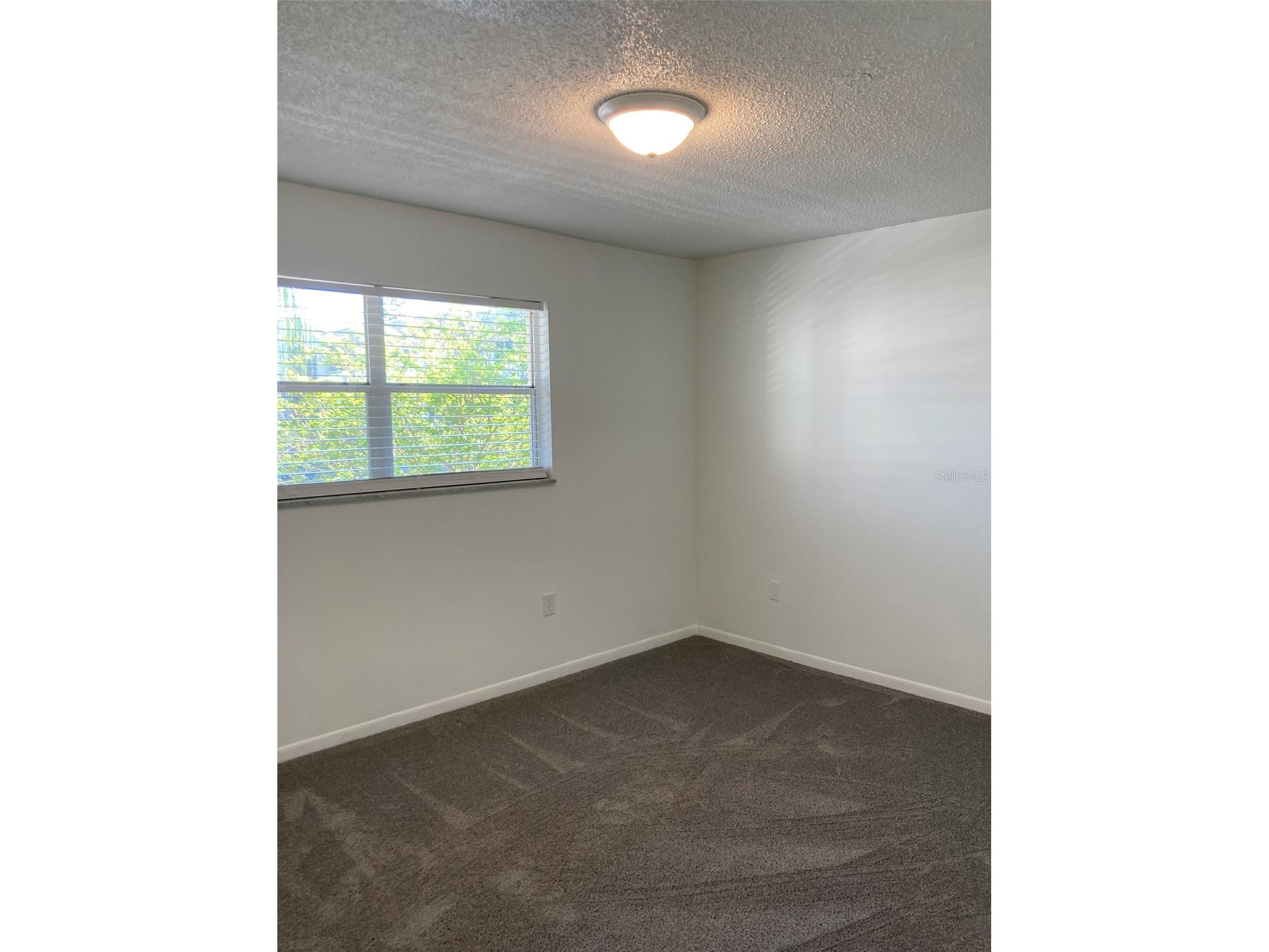 5530 80th Street N #C204 Saint Petersburg FL 33709 TB8492640 image24