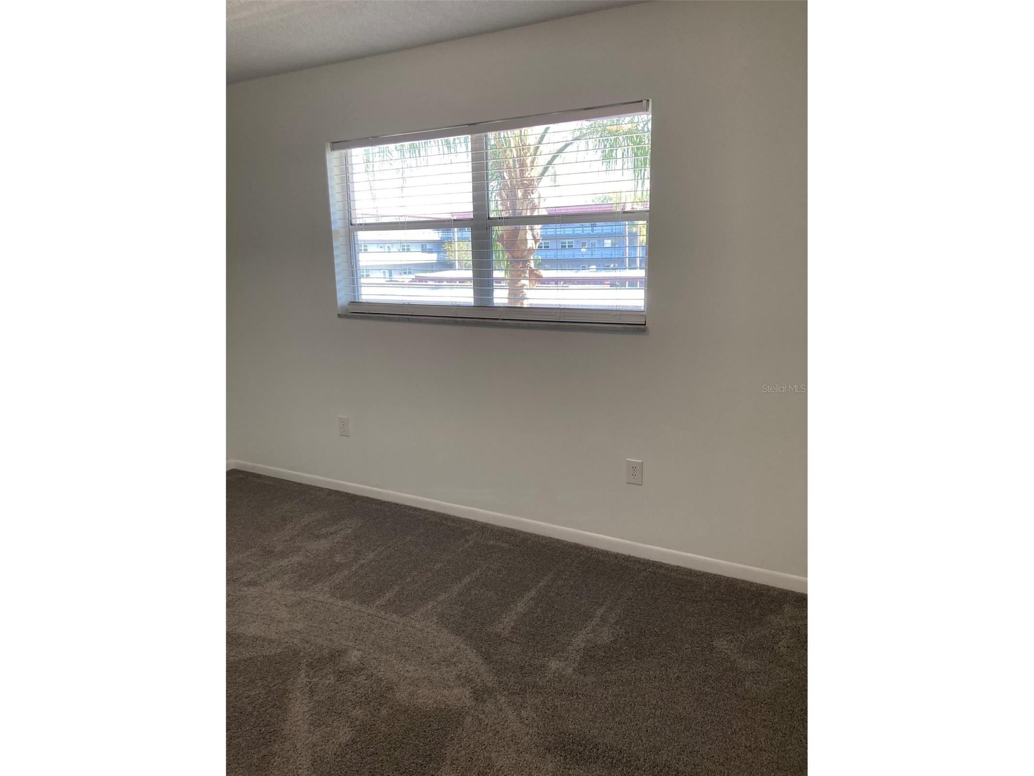 5530 80th Street N #C204 Saint Petersburg FL 33709 TB8492640 image25