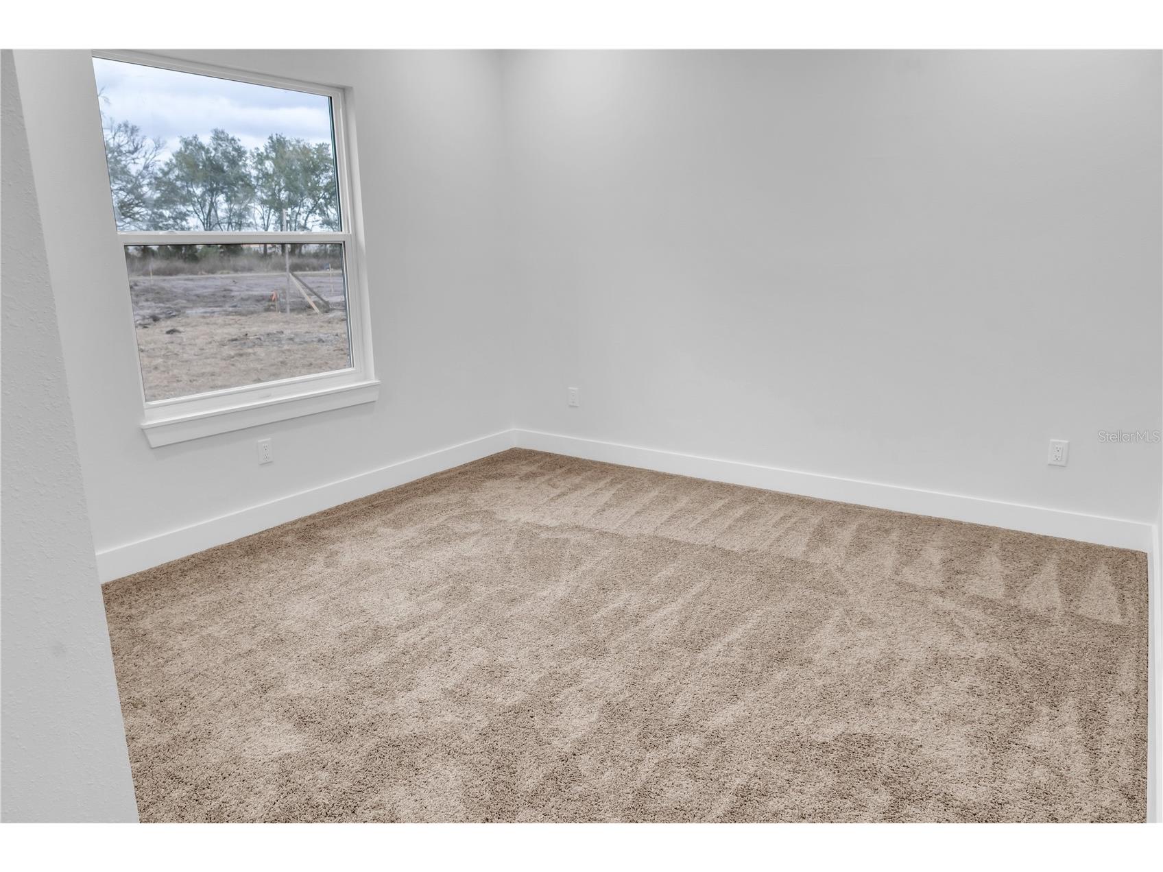 5530 Bell Zephyrhills FL 33540 TB8478691 image8