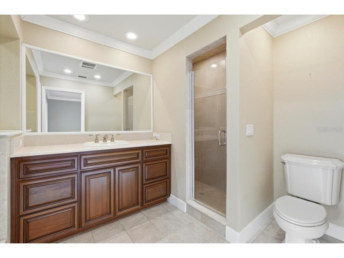 5530 Driftwood Drive Lakeland FL 33809 - LAKE GIBSON A4678626 image29