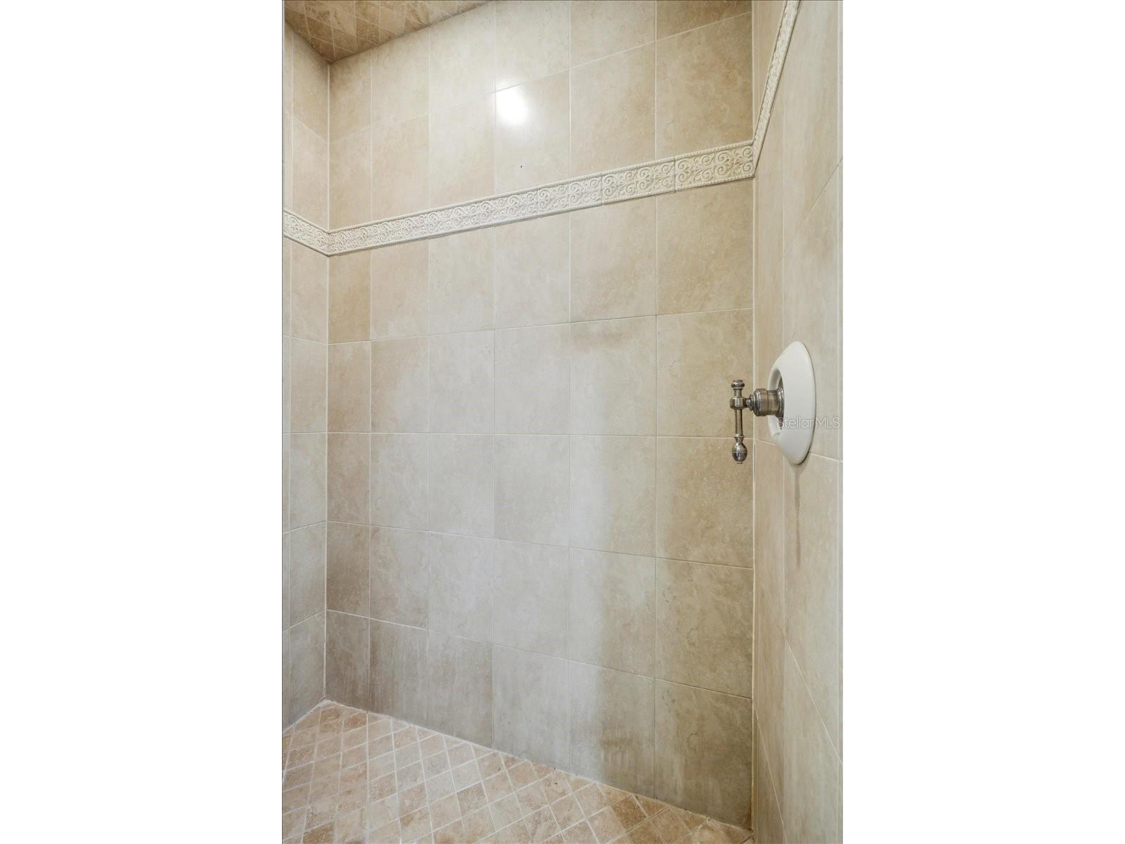 5530 Driftwood Drive Lakeland FL 33809 - LAKE GIBSON A4678626 image40