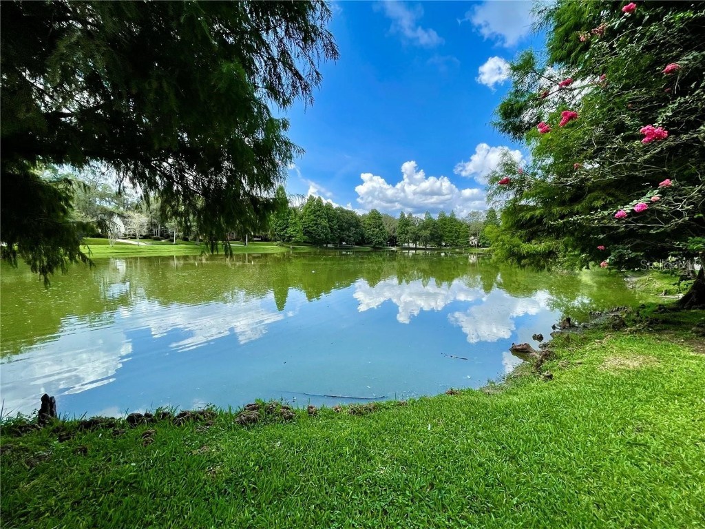 5530 N 9th Street #1 Tampa FL 33604 TB8374035 image48