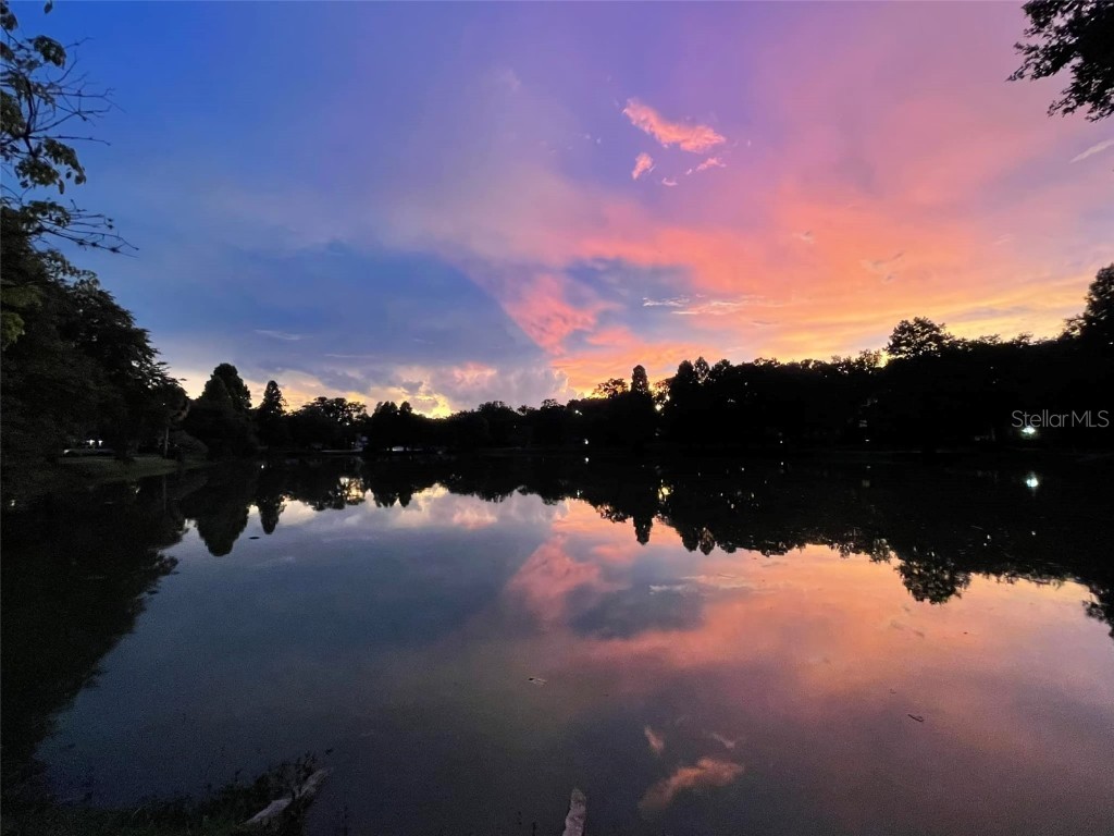 5530 N 9th Street #1 Tampa FL 33604 TB8374035 image49