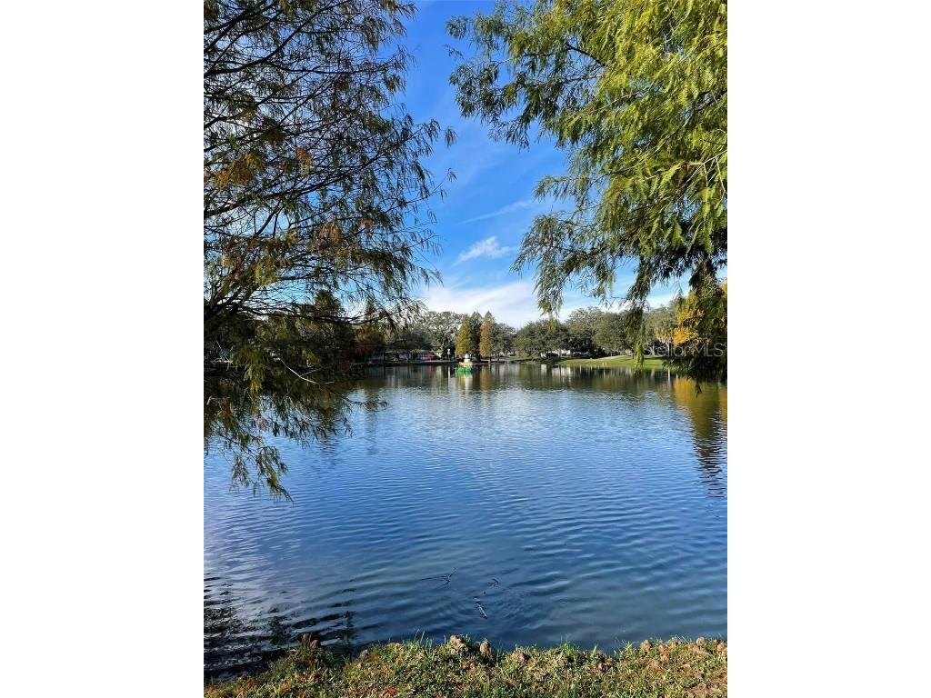 5530 N 9th Street #1 Tampa FL 33604 TB8374035 image50