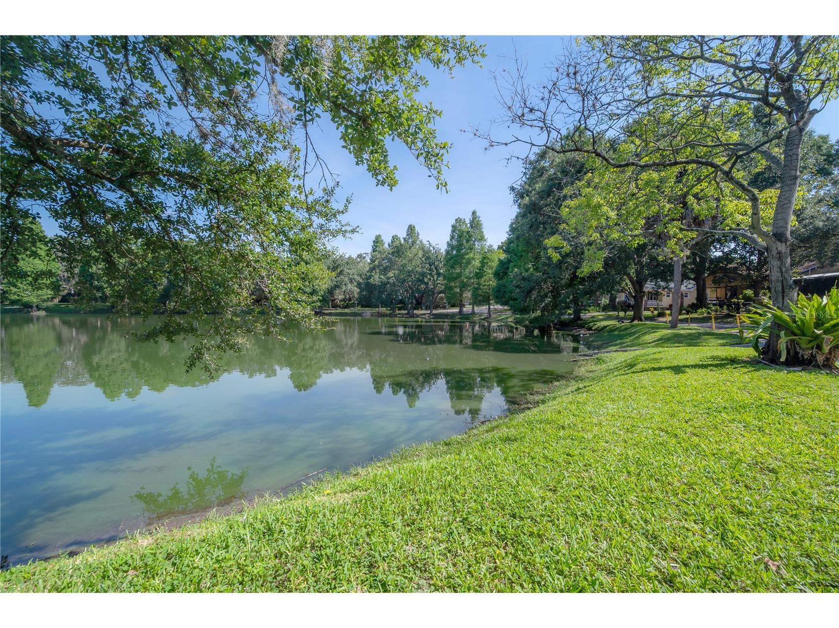 5530 N 9th Street #3 Tampa FL 33604 - LAKE ROBERTA TB8460399 image65