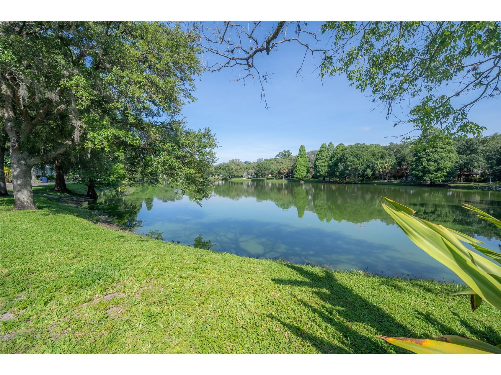5530 N 9th Street #3 Tampa FL 33604 - LAKE ROBERTA TB8460399 image71