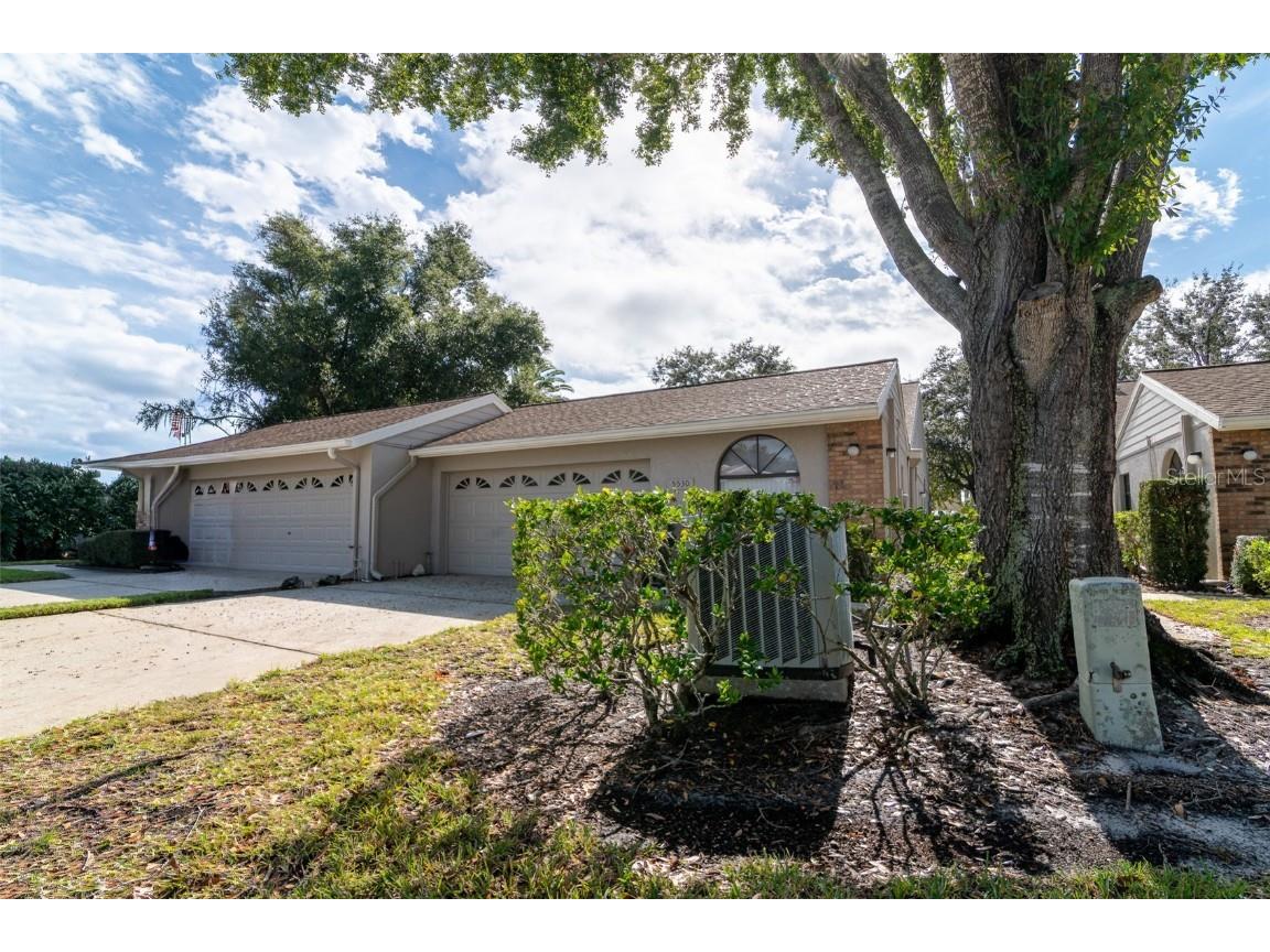 5530 Salem Square Drive N Palm Harbor FL 34685 TB8455364 image2