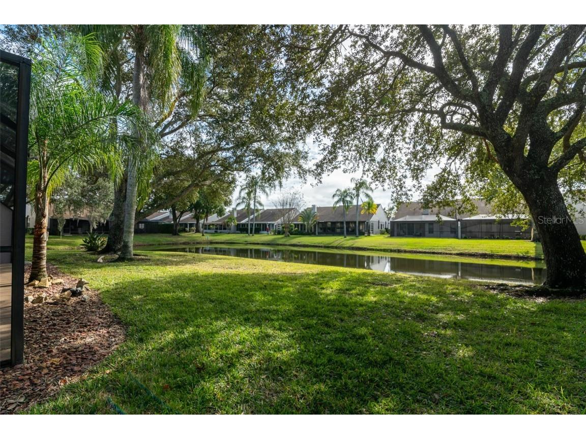 5530 Salem Square Drive N Palm Harbor FL 34685 TB8455364 image29