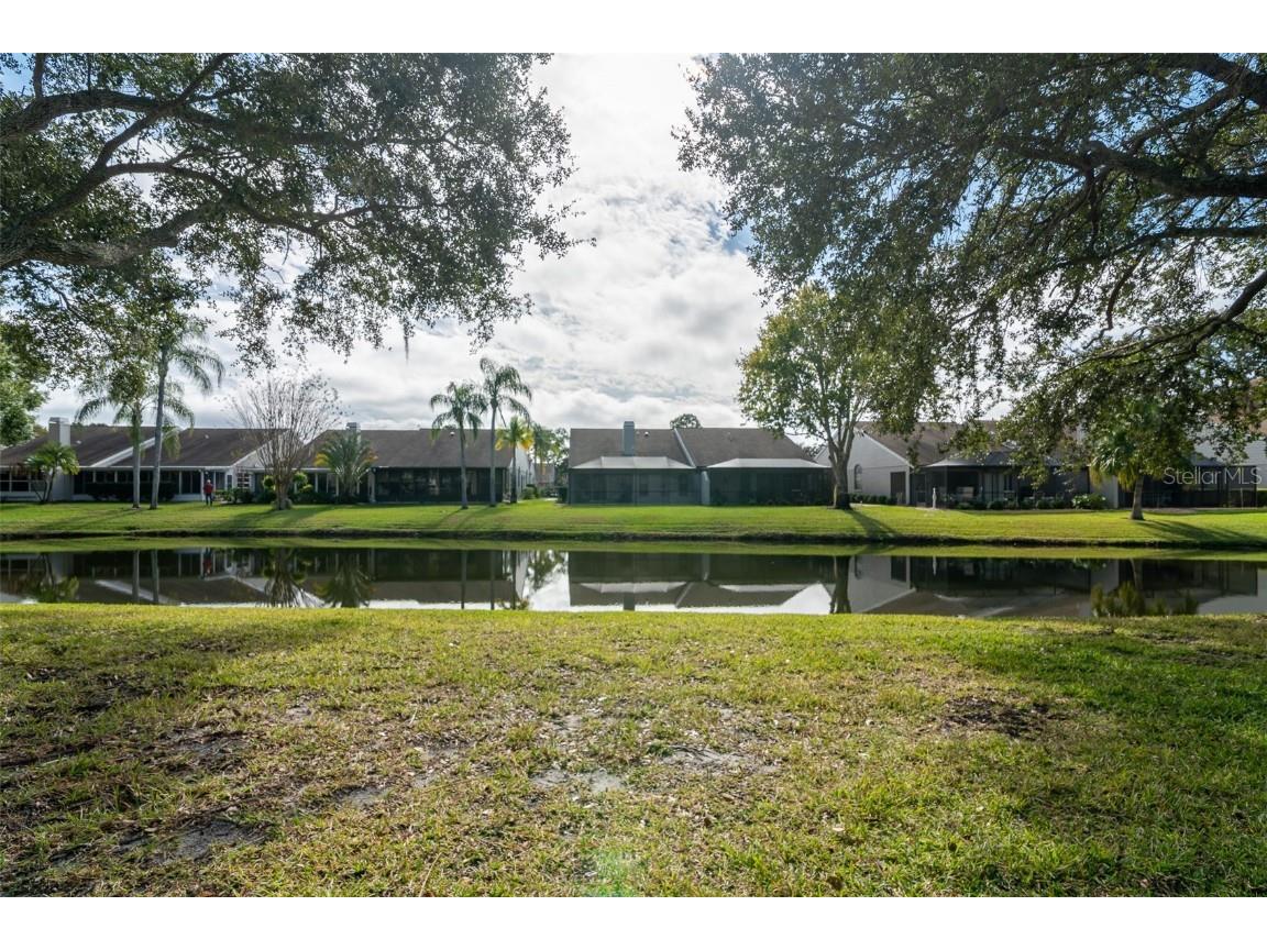 5530 Salem Square Drive N Palm Harbor FL 34685 TB8455364 image30