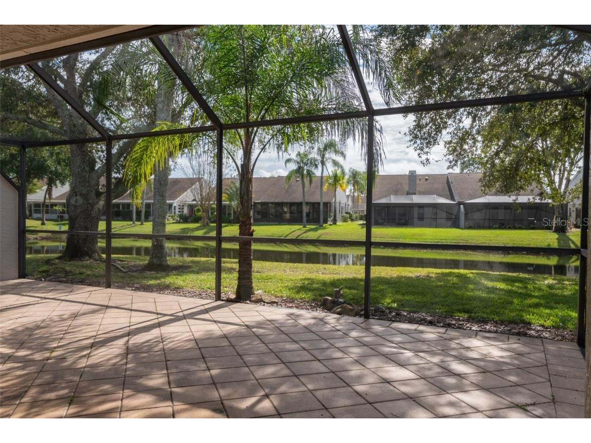 5530 Salem Square Drive N Palm Harbor FL 34685 TB8455364 image33