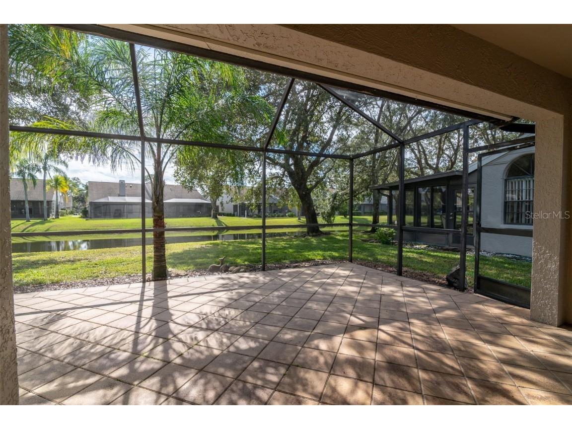 5530 Salem Square Drive N Palm Harbor FL 34685 TB8455364 image34