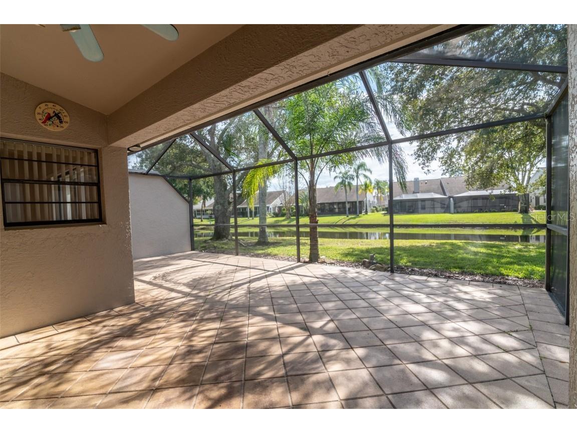 5530 Salem Square Drive N Palm Harbor FL 34685 TB8455364 image35