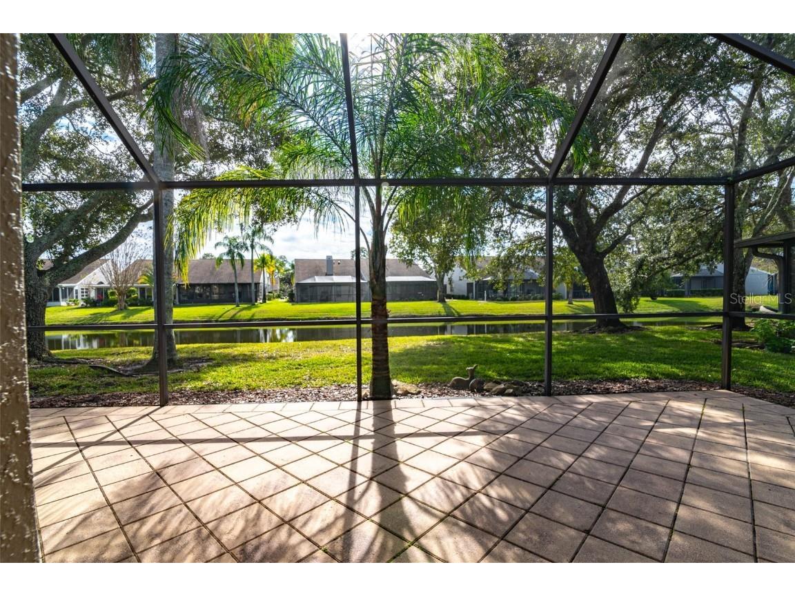 5530 Salem Square Drive N Palm Harbor FL 34685 TB8455364 image39