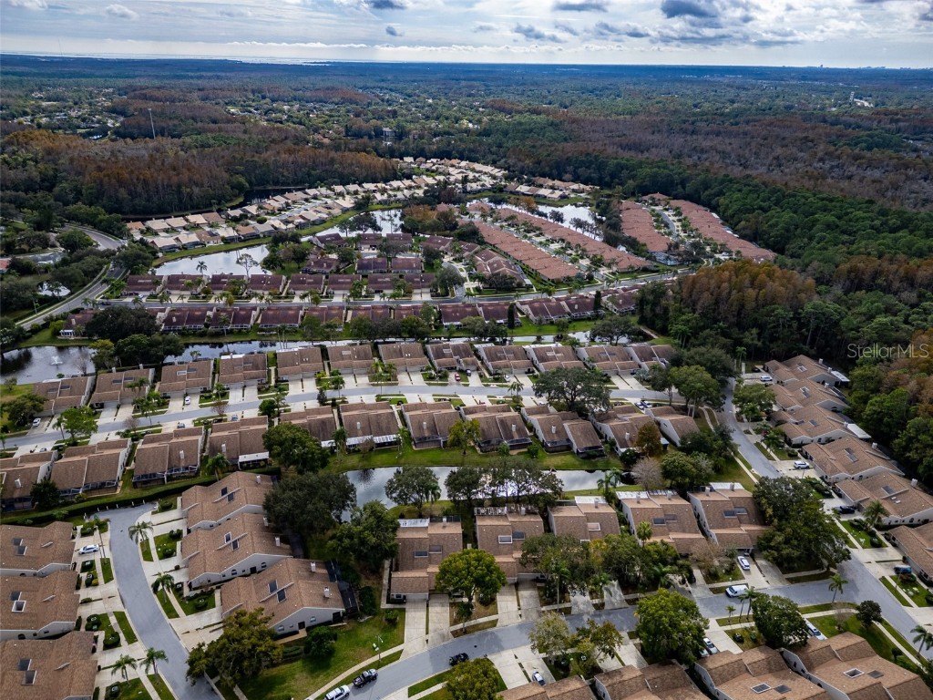 5530 Salem Square Drive N Palm Harbor FL 34685 TB8455364 image44