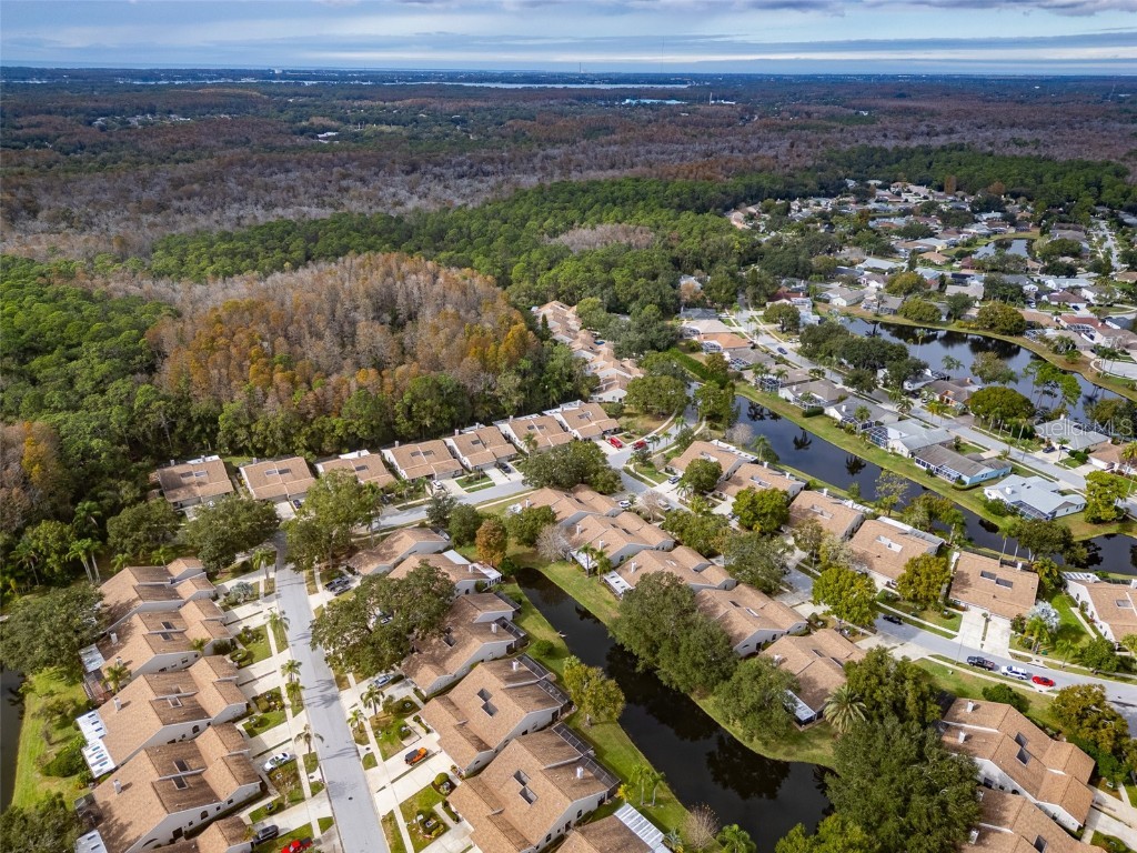 5530 Salem Square Drive N Palm Harbor FL 34685 TB8455364 image45