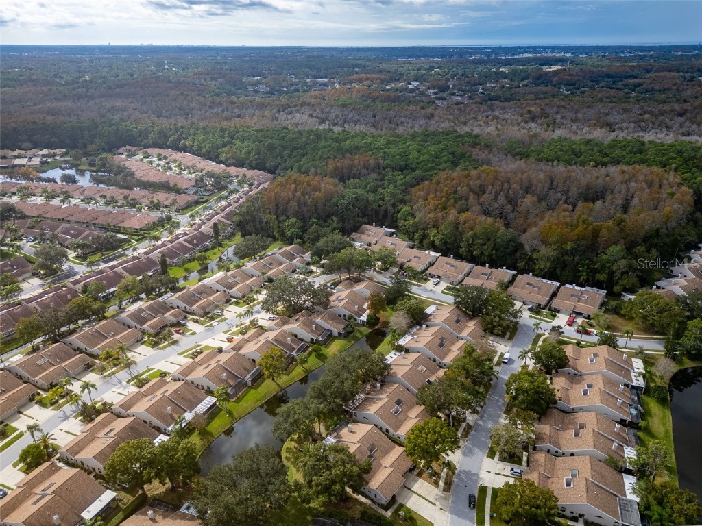 5530 Salem Square Drive N Palm Harbor FL 34685 TB8455364 image46