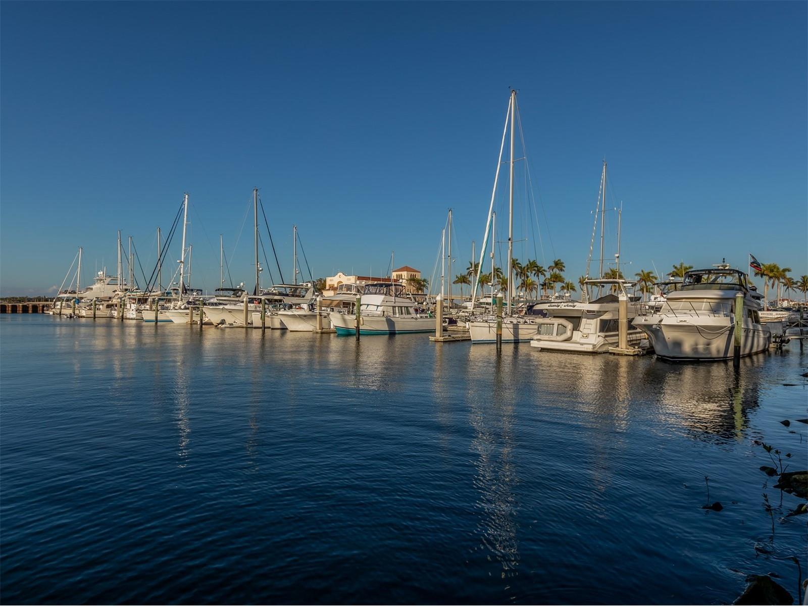 5531 46th Court W #5531 Bradenton FL 34210 N6143805 image58