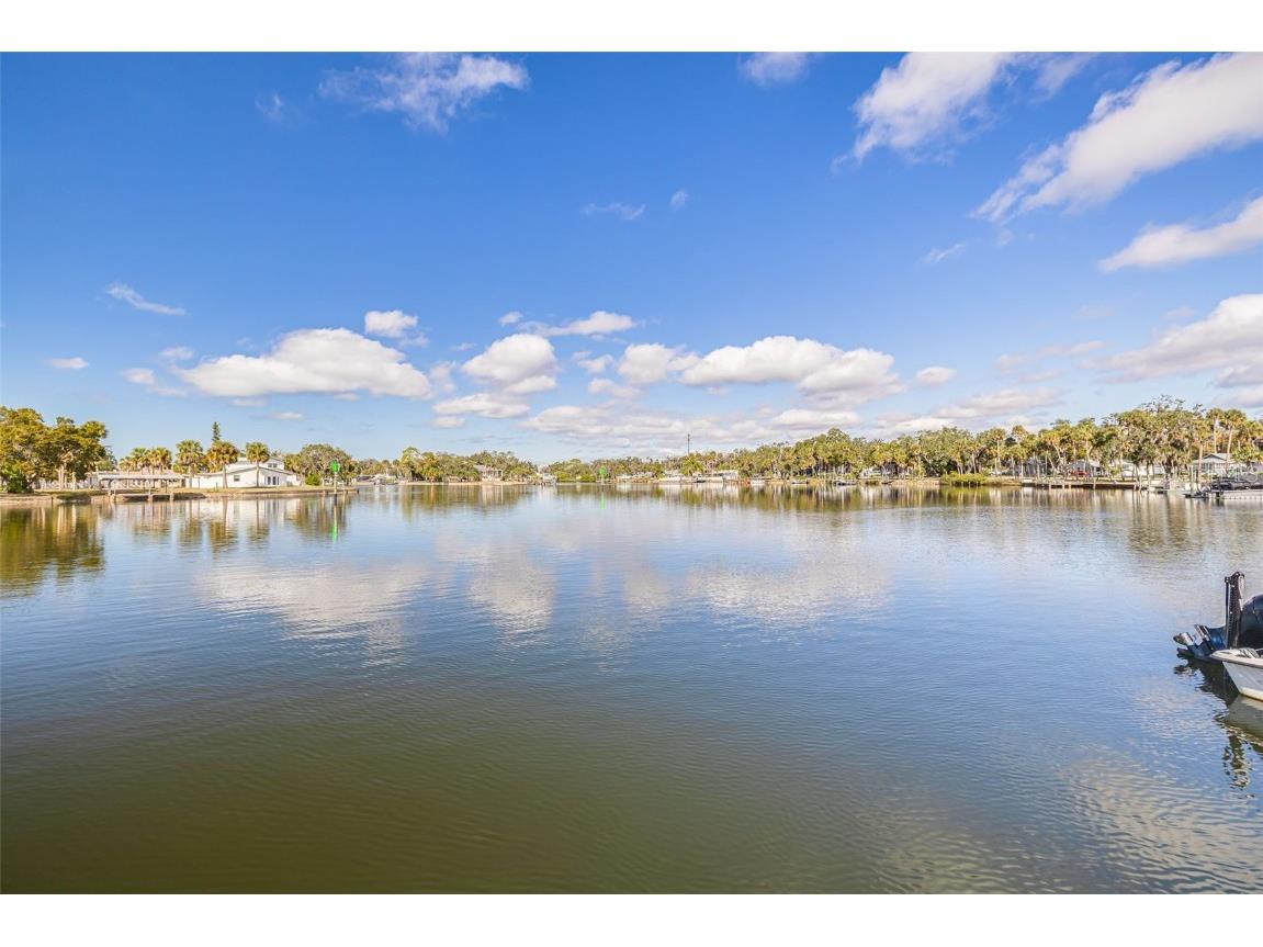 5531 Manatee Point Drive New Port Richey FL 34652 TB8460831 image25
