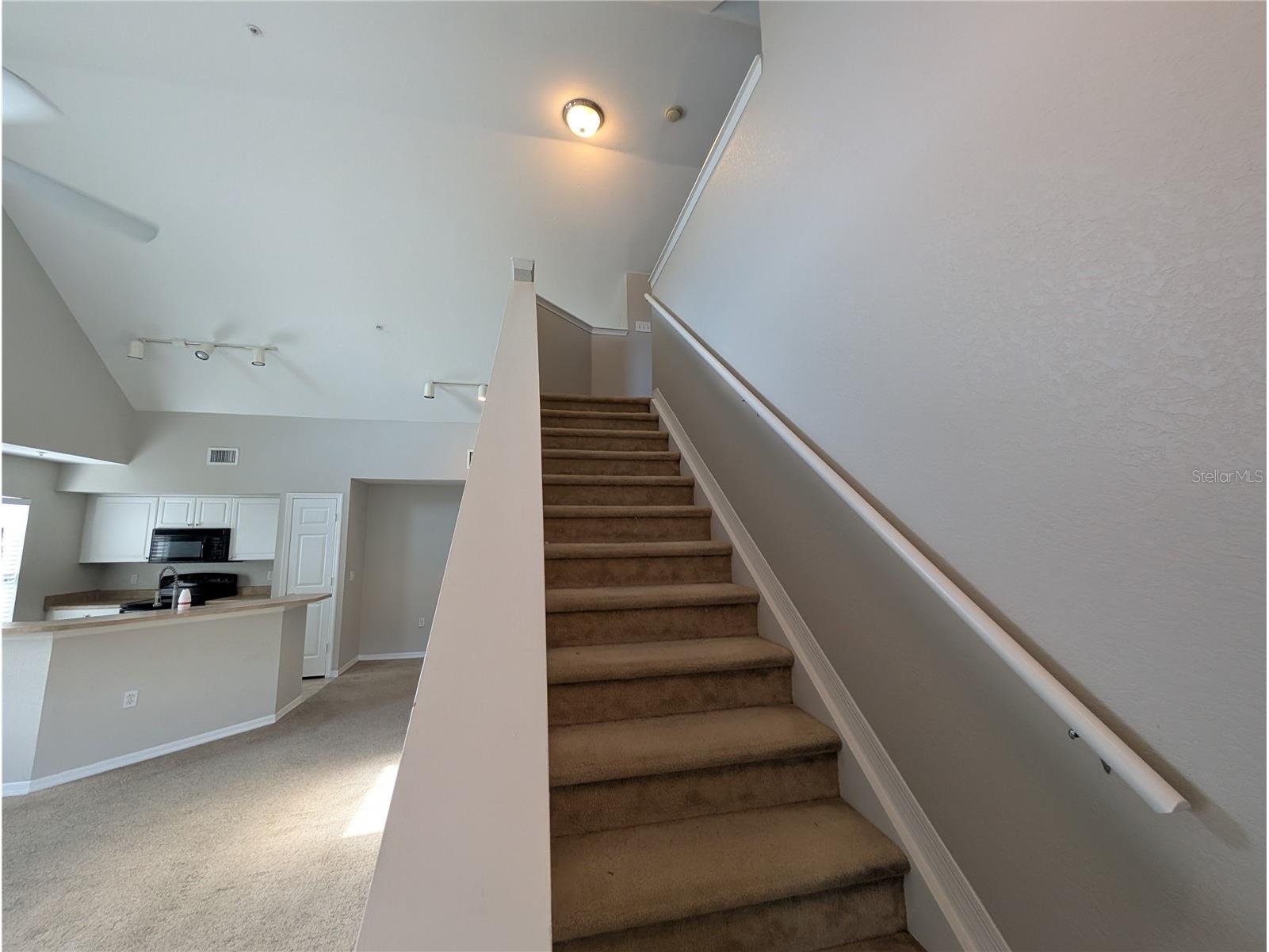 5531 Rosehill Road #203 Sarasota FL 34233 A4674707 image17