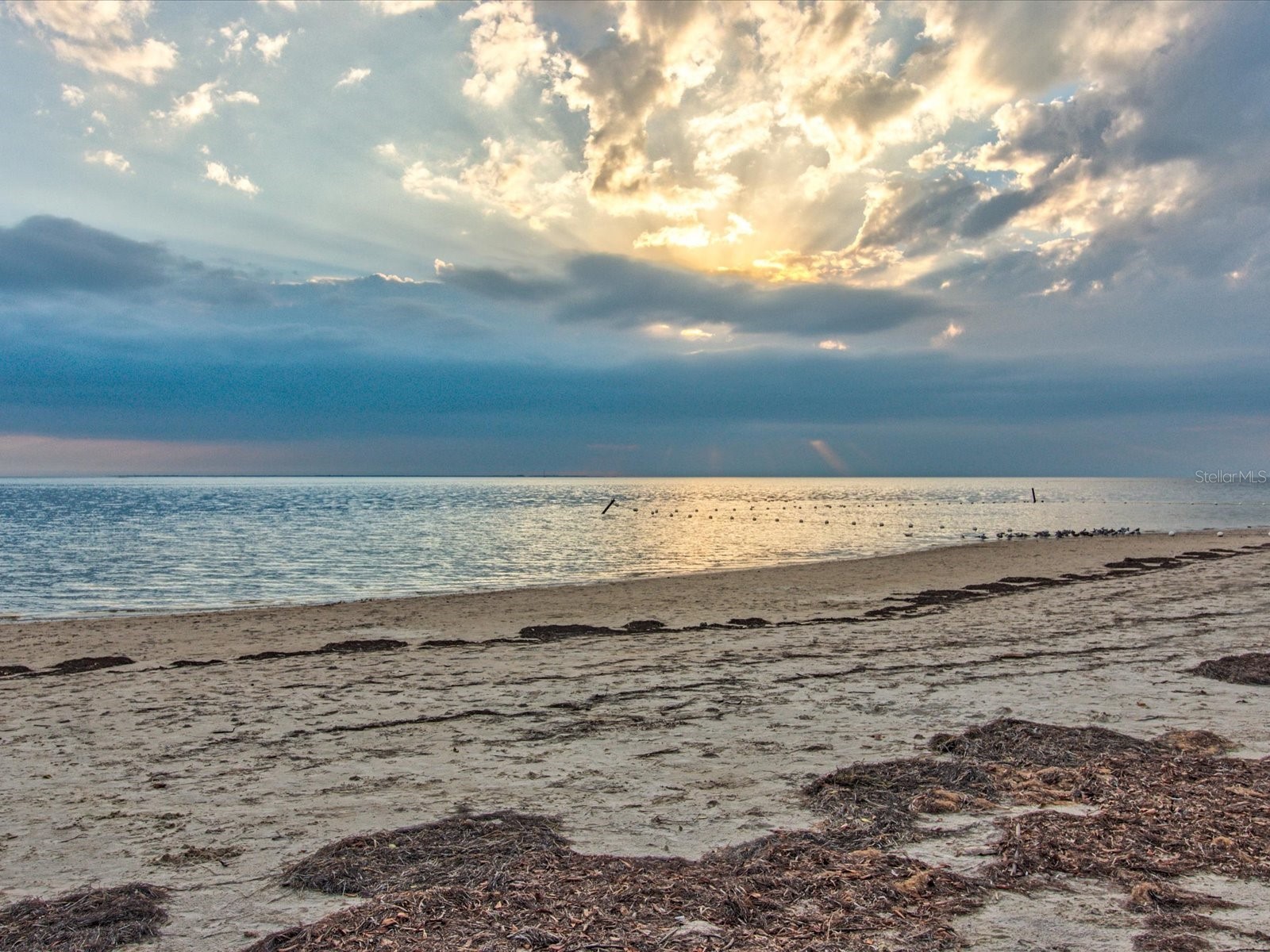 5532 Berlin Drive Port Richey FL 34668 W7882449 image87