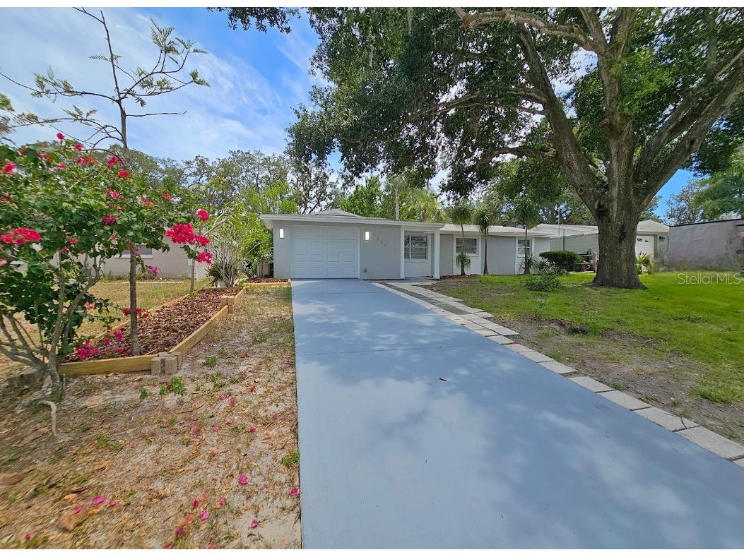 5532 Front Drive Holiday FL 34690 U8245319 image1