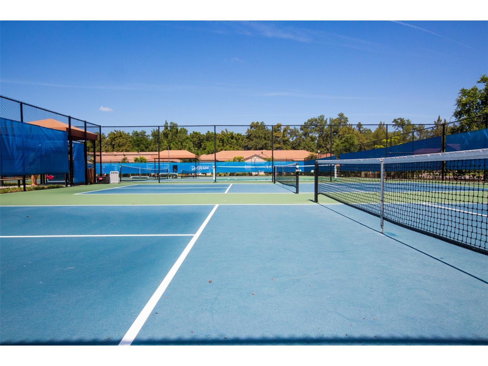 5532 Sunset Falls Drive Apollo Beach FL 33572 - SUNSET FALLS LOOP POND TB8519416 image45