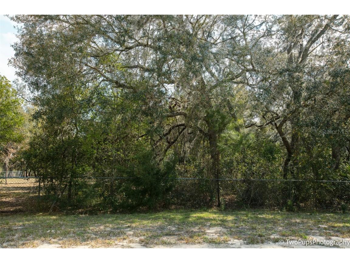 5533 Lassen Street Keystone Heights FL 32656 GC510882 image1