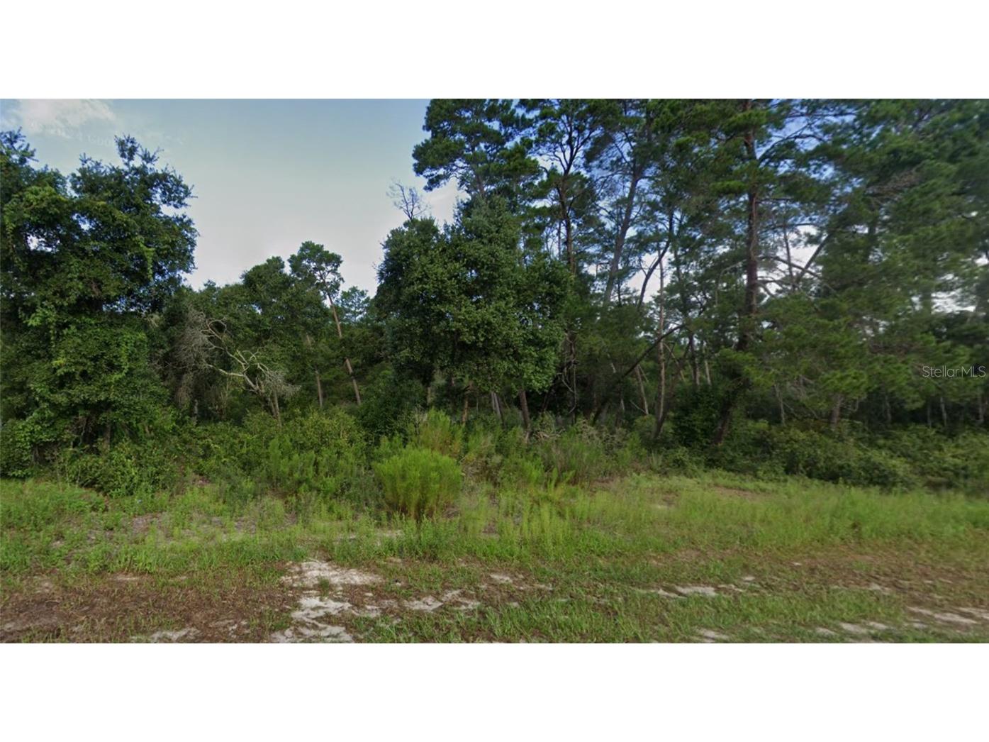 5533 Moongate Road Spring Hill FL 34606 J985405 image1