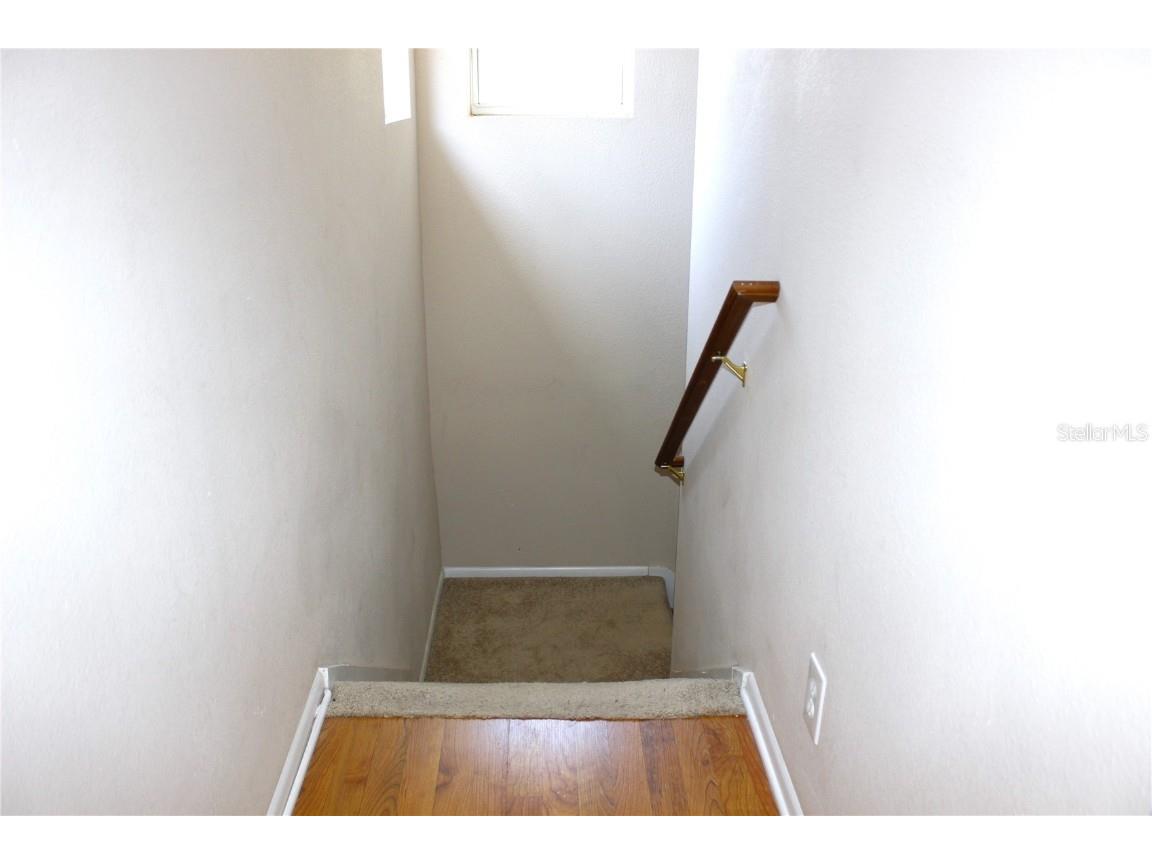 5533 Pentail Circle Tampa FL 33625 TB8428472 image43