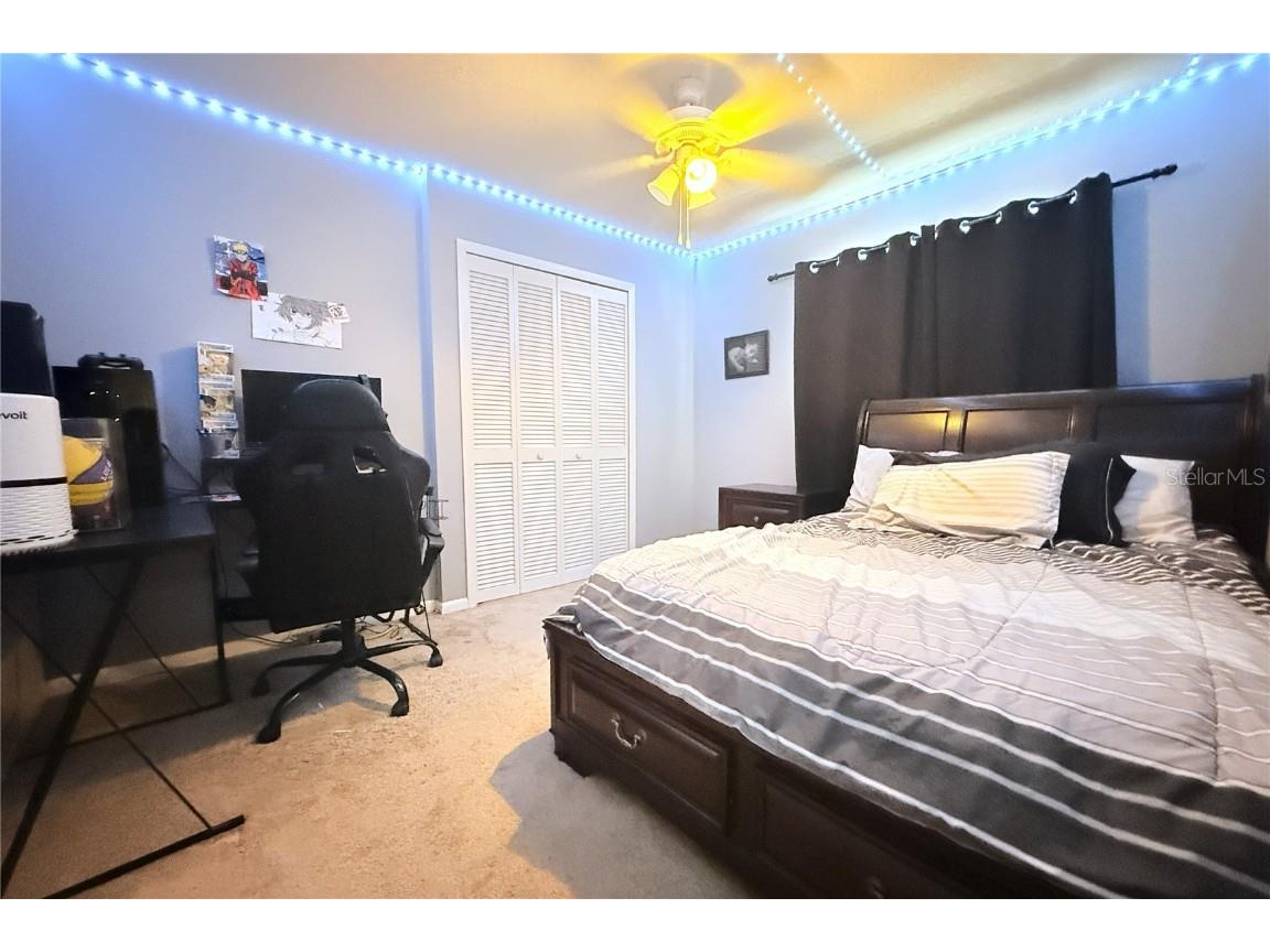 5533 Pentail Circle Tampa FL 33625 TB8428472 image44