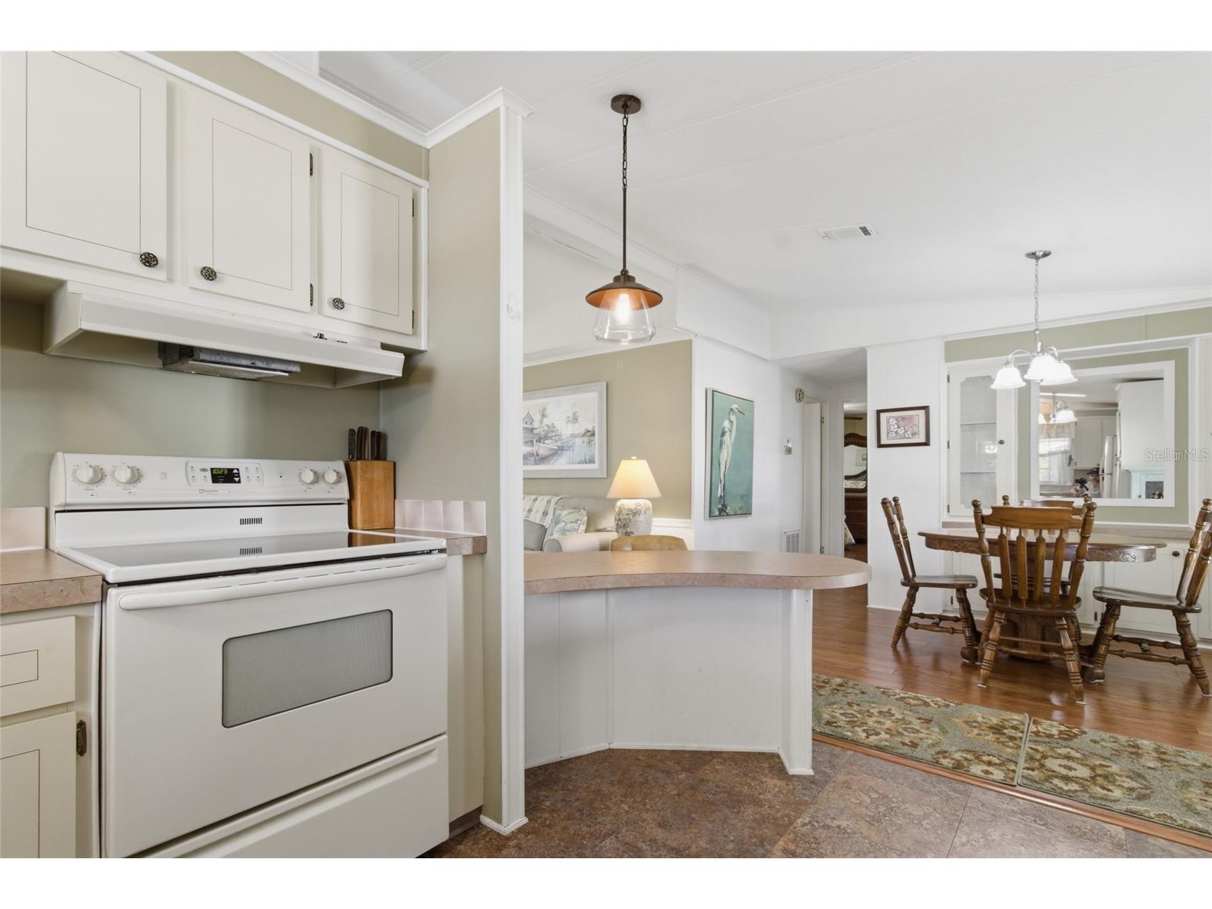 5533 Regal Way Zephyrhills FL 33541 TB8480640 image8