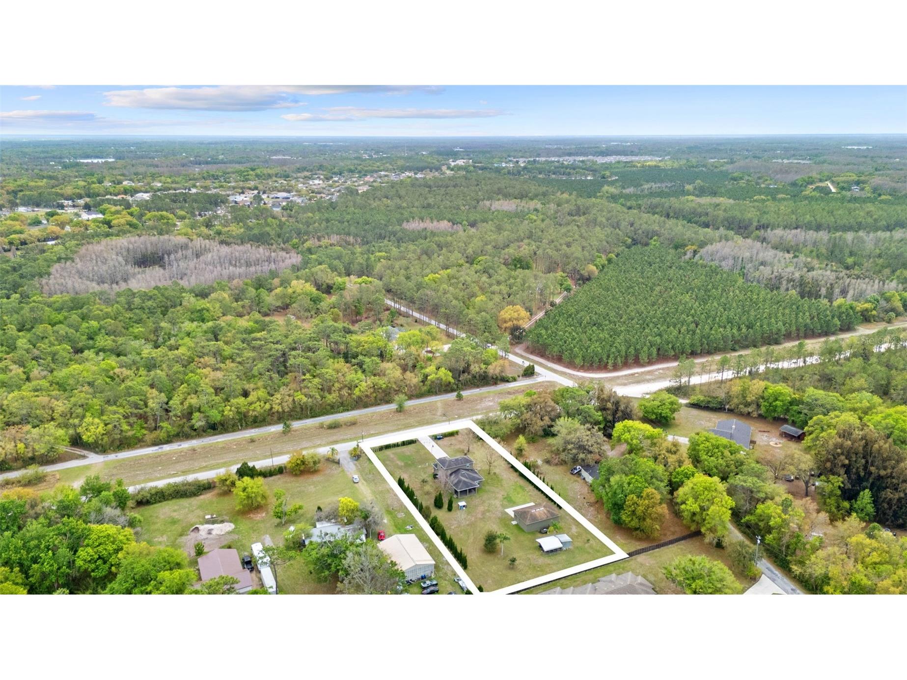5533 Tower Road Land O Lakes FL 34638 W7883920 image46