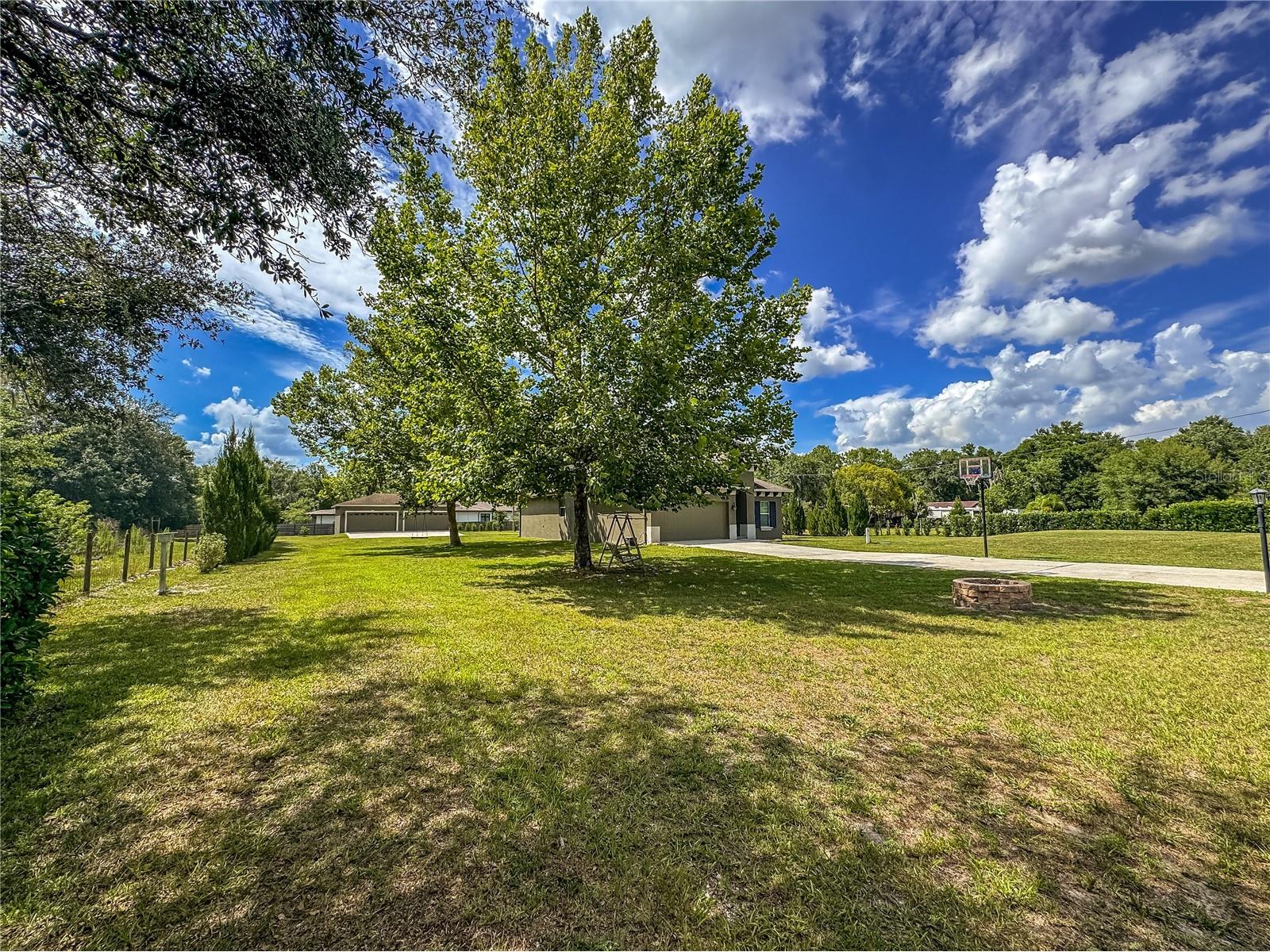 5533 Tower Road Land O Lakes FL 34638 W7886938 image7
