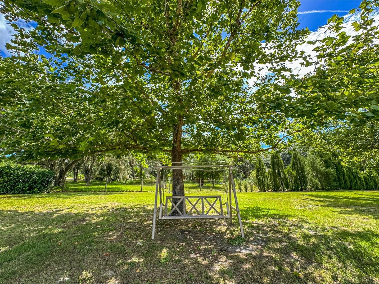 5533 Tower Road Land O Lakes FL 34638 W7886938 image9