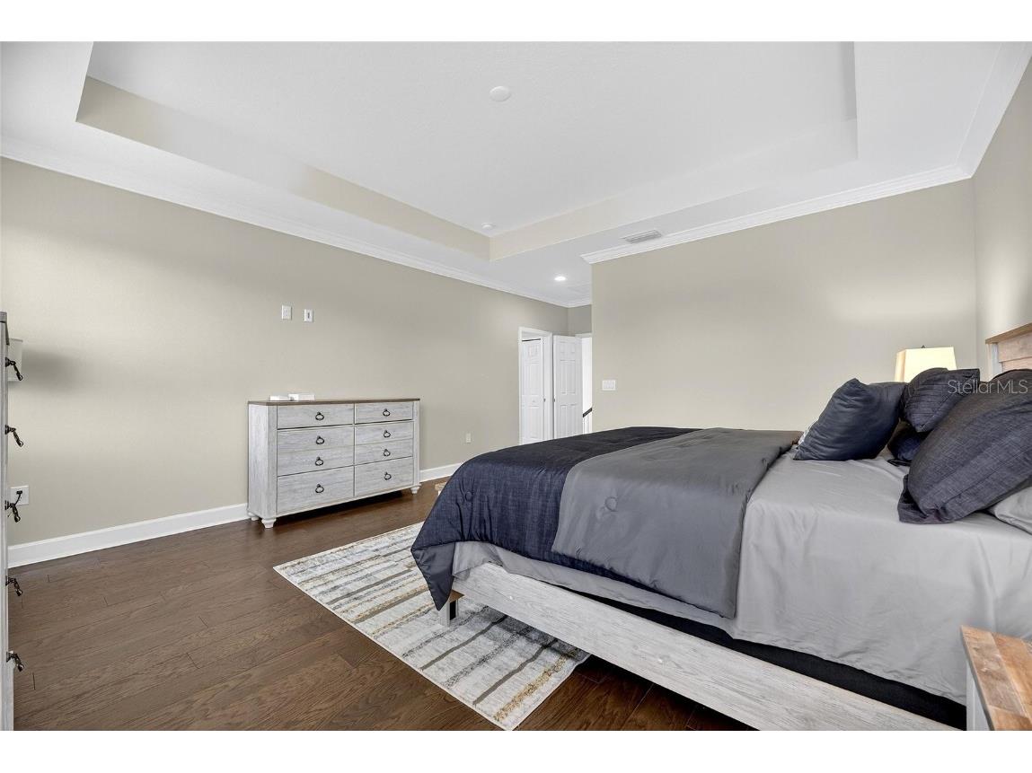 5534 Silver Sun Drive Apollo Beach FL 33572 TB8434220 image32