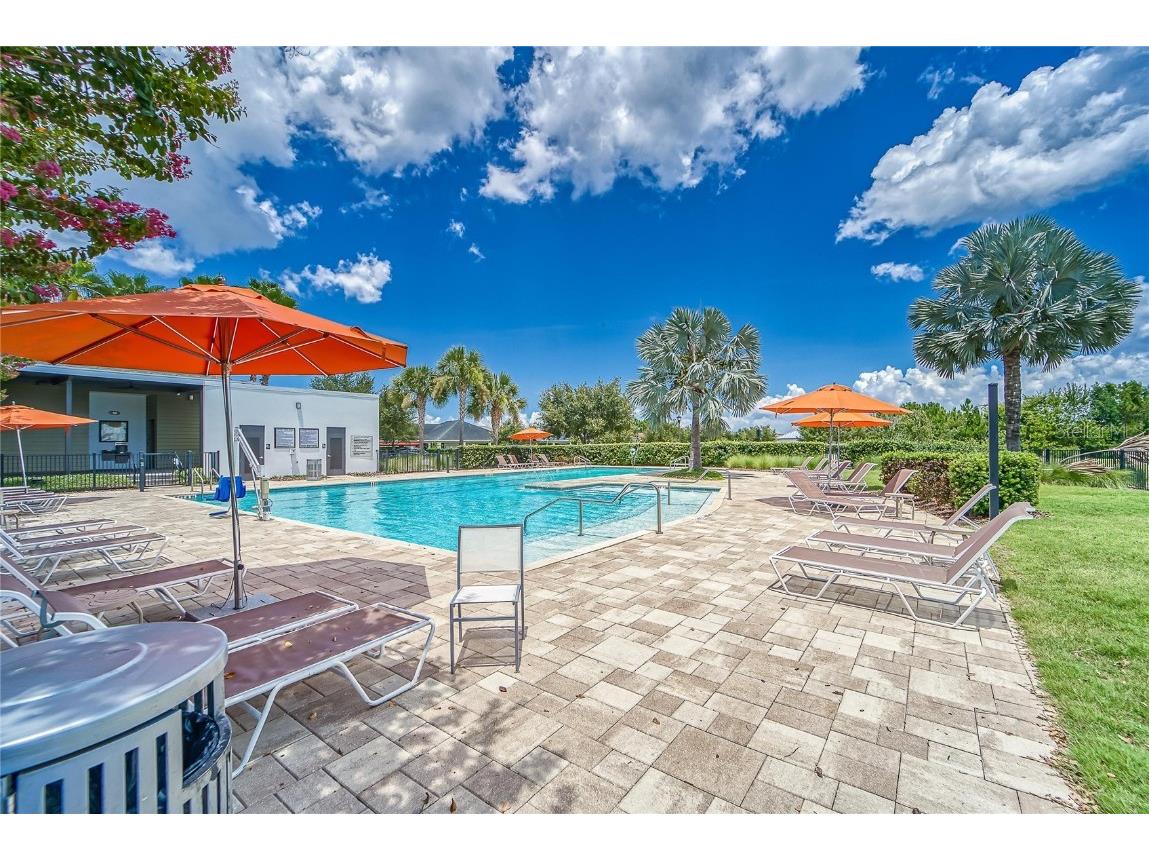 5534 Silver Sun Drive Apollo Beach FL 33572 TB8434220 image64