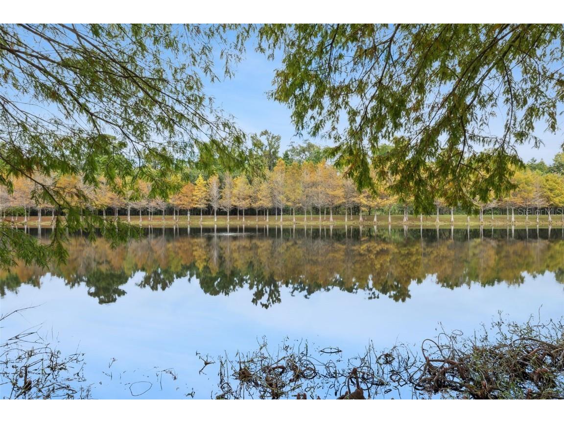 5534 Siracusa Lane Sanford FL 32771 O6357905 image34